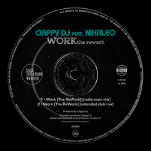 Load image into Gallery viewer, Ciappy DJ feat. Nikaleo • Work (The ReWork) [Dance, House]
